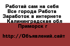 Работай сам на себя - Все города Работа » Заработок в интернете   . Калининградская обл.,Приморск г.